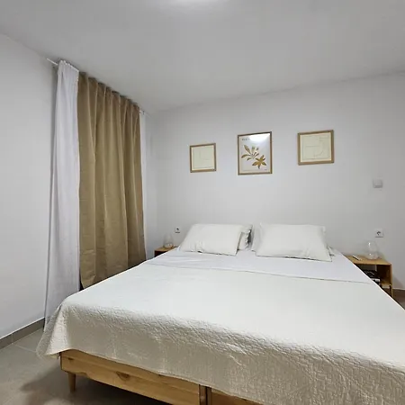 Ii 维耶拉克